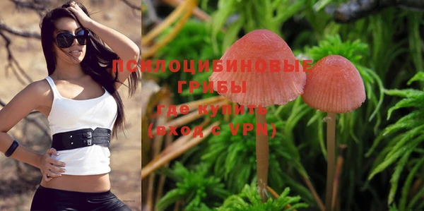 spice Навашино