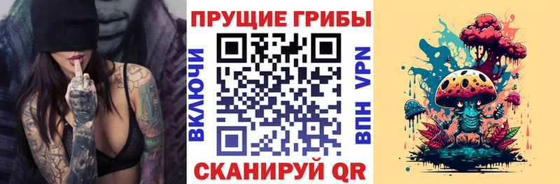 Псилоцибиновые грибы MAGIC MUSHROOMS  Купить  Солигалич 